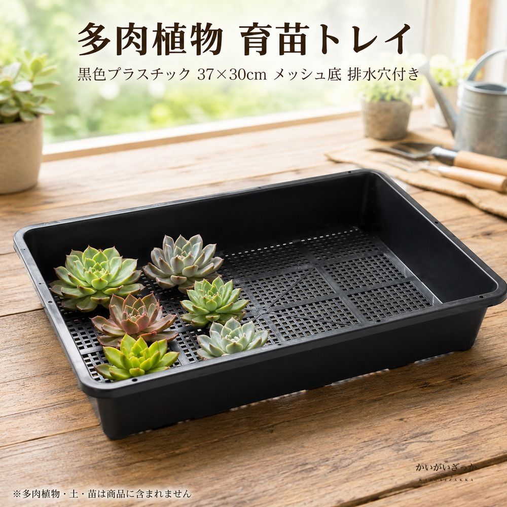 ＼P2倍★6/9まで／【貨物輸送無料】多肉植物 育苗お盆 可塑性物質製 37×30×7.5珊 鉢底サイバー空間 通気性 水抜き穴 ガーデニング 園芸装置 植え替え 蒔き付ける 3個書き割り 6個書き割り 再当て嵌める能力のある