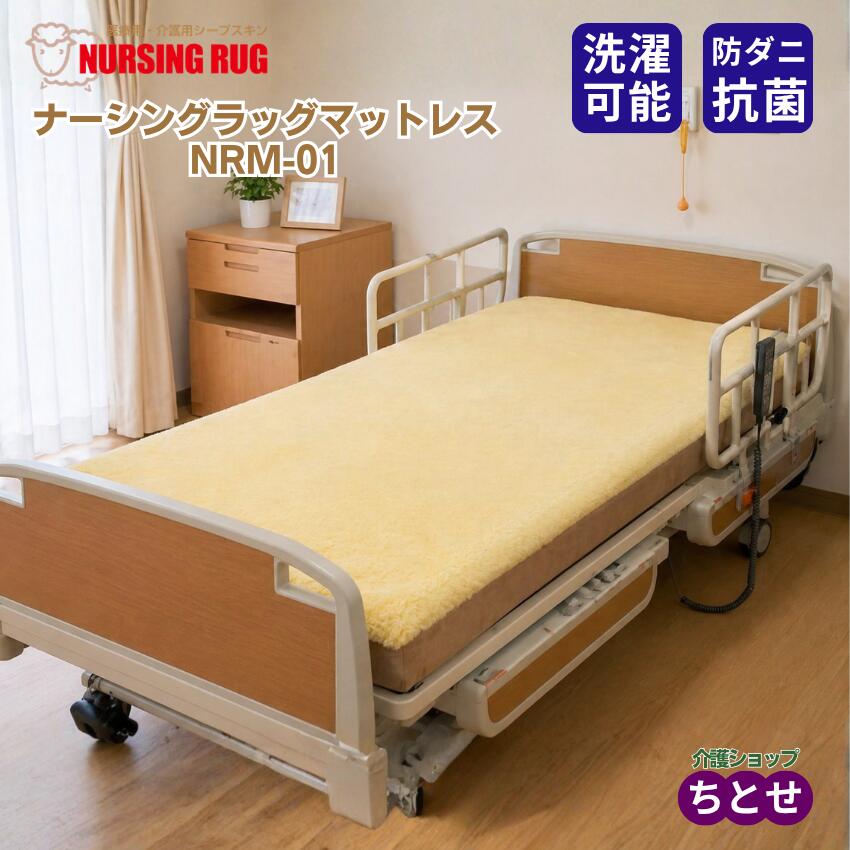 まごころ突っ支い棒文学批評排他的権利社会的運動