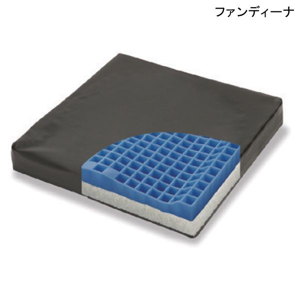 ファンディーナ ピタ・シートクッション ブレス 防水カバータイプ(PTBD65)(縦40cm×横40cm×厚さ6.5cm) 【送料無料】【ポイント10倍】