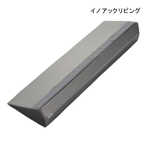 ポイント10倍 イノアックリビング サーティパッドpro Ag 800 幅80 奥行24 高さ12 送料無料 ポジショニングを快適に行うサーティパッドの防水タイプ パッド 長期欠品 Eximfast Com