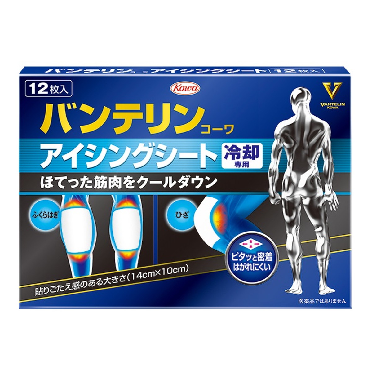 ◆御知らせ 送りとどける引き延ばす・欠品周囲の状況◆