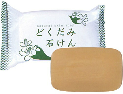 【送料お得・まとめ買い×100個セット】ちのしお社 ＤＮスキンソープ（どくだみ石けん）(内容量：130G) (4982757911647)