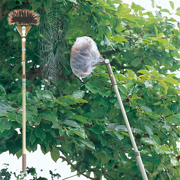 纯烫镭射金 5cm×5m 蜘蛛网 海外マスキングテープ 纯烫镭射金 5cm×5m 蜘蛛网 海外マスキングテープ