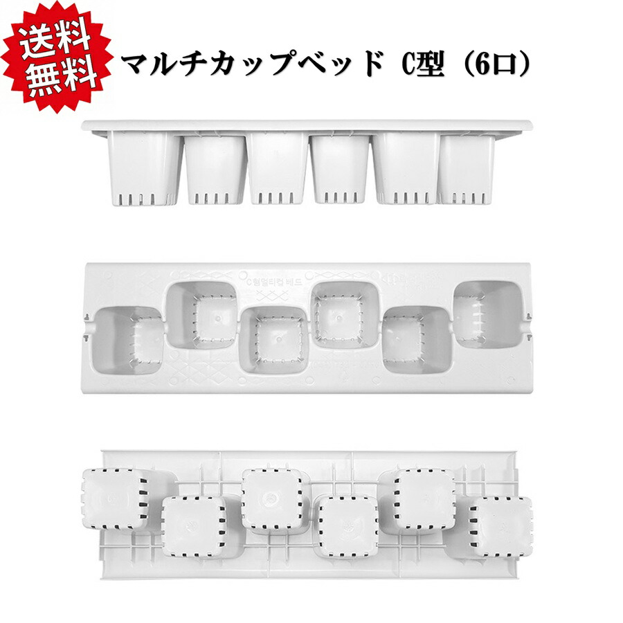 送料無料 イチゴ親株用 マルチカップベッド Ｃ型（6口） 30枚セット 独立ポット式 通気性抜群 培地節約 農業資材 アグリベース四万十 北海道・沖縄・離島出荷不可