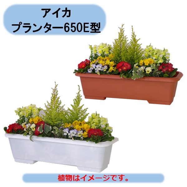 法人様限定 送料無料 プランター650E型 60個 まとめ買い ※個人様お届け出来ません。 アイカ 沖縄・離島出荷不可｜KAIKAI-shop 8,036円