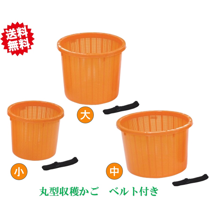 貨物輸送無料 法人様制限事項 丸型刈りいれるかご オレンジ色（三尺帯付） 中大いさ 16個 可塑性物質 お百姓さん 稼穡原材料 木の実 ガーデニング 安全性のある興業 北海道・沖縄・離島さし出し不可