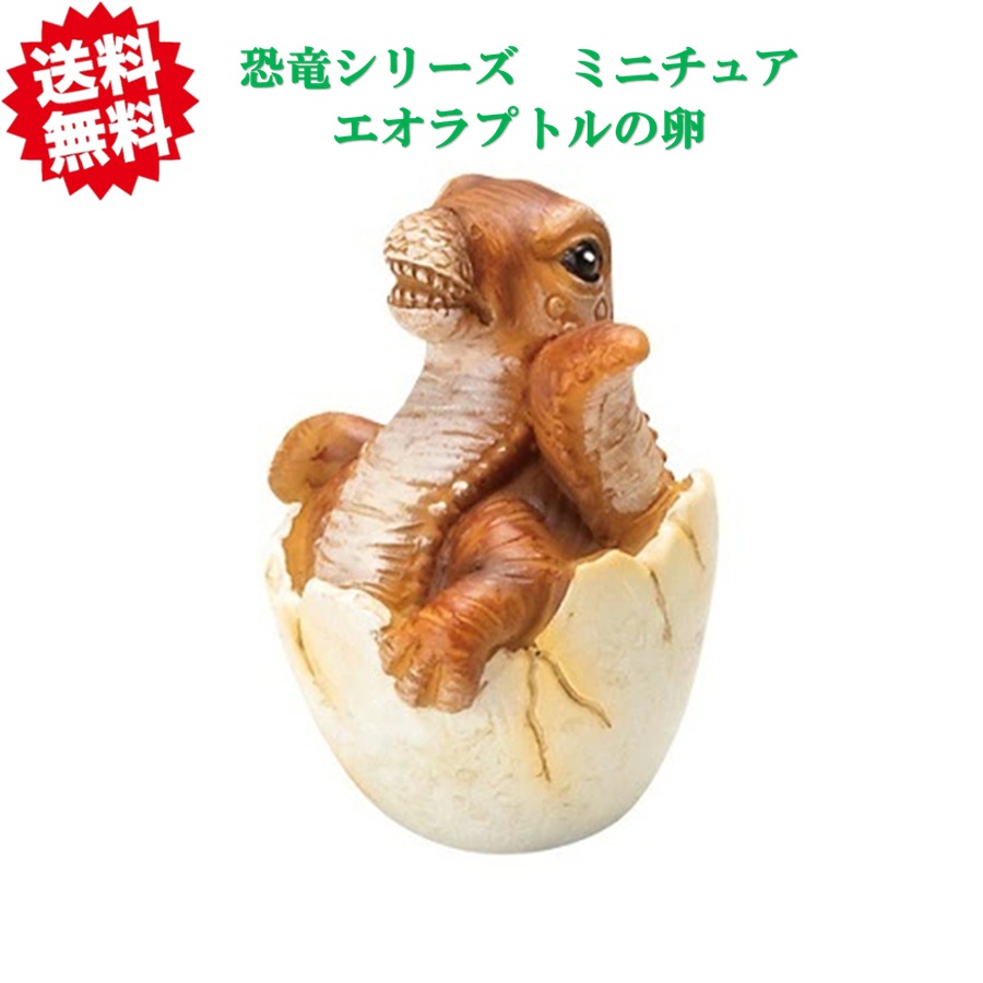 楽天市場】HH30318 恐竜ミニチュア エオラプトルの卵 オーナメント