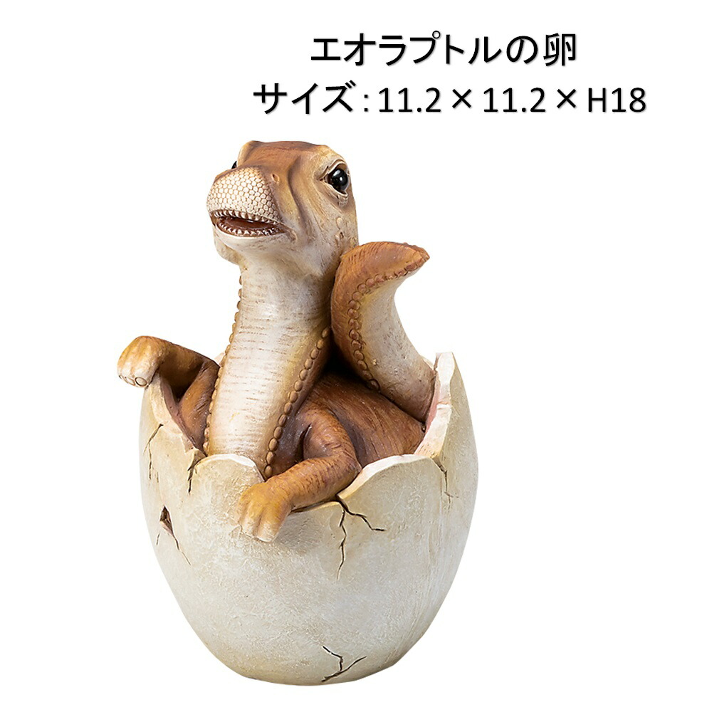 エオラプトル 2種セット ht7734-2.jpg