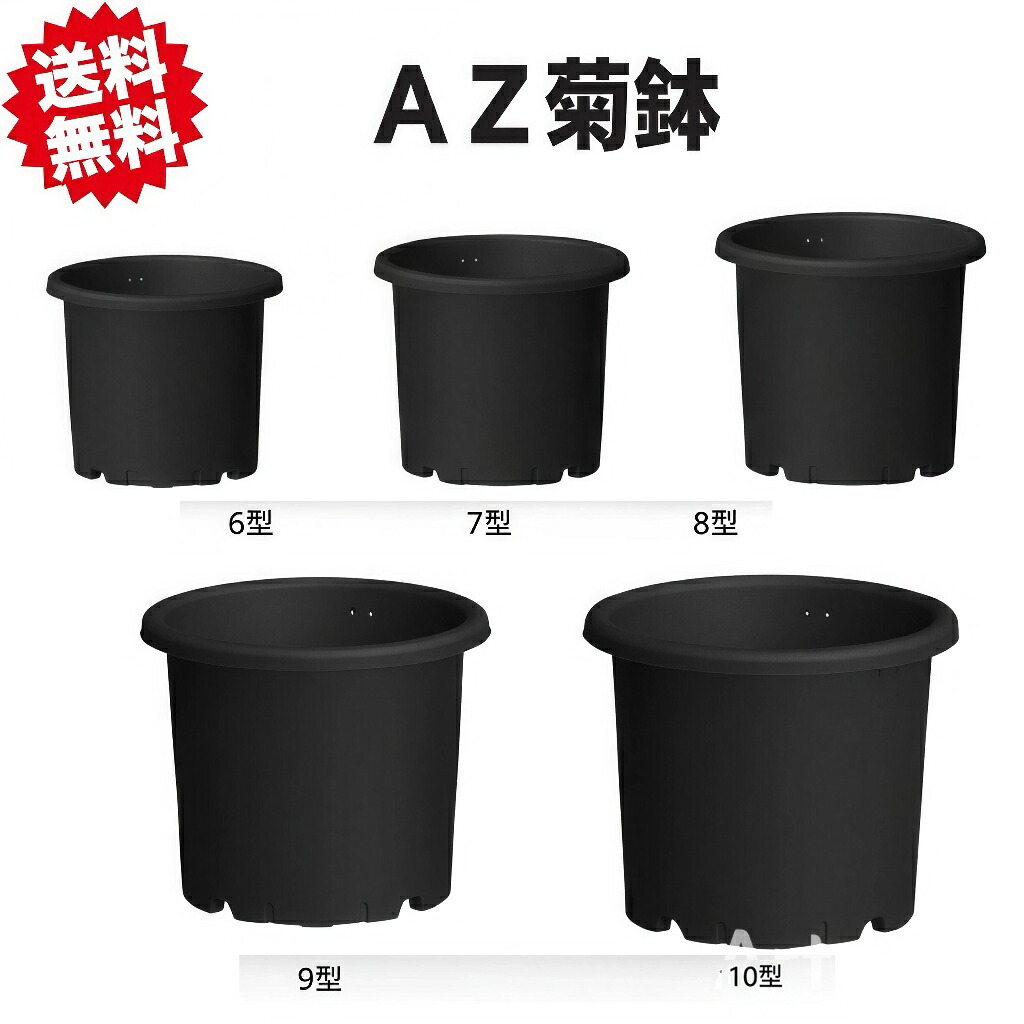 貨物輸送無料 法人様制限事項 AZ 菊鉢 7号黒いこと 【御役目用・48個仕掛ける】 安全性のある興業 北海道・沖縄・離島差し出し不可 プランター-花・ガーデン・DIY-植木鉢・プランター