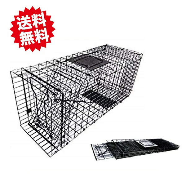 捕獲器 丸十金網株式会社 猫の保護器 楽天市場】丸十金網 猫 保護の通販