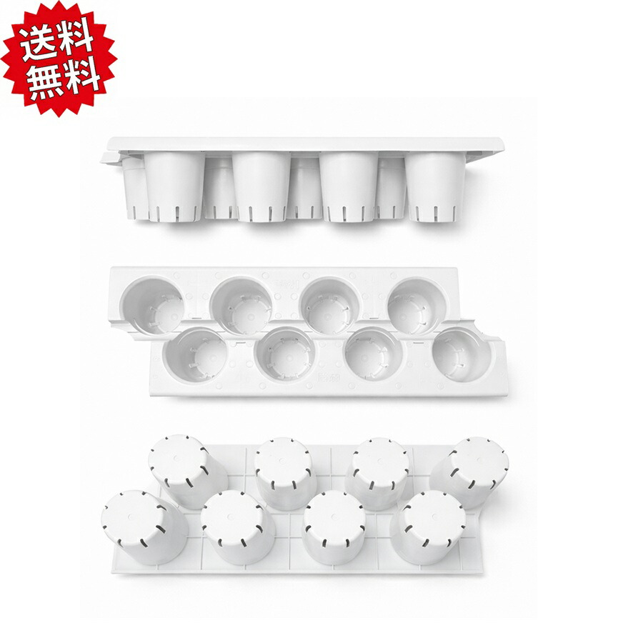 送料無料 イチゴ親株用 マルチカップベッド A型（8口） 30枚セット 独立ポット式 通気性抜群 培地節約 農業資材 アグリベース四万十 北海道・沖縄・離島出荷不可 29,054円