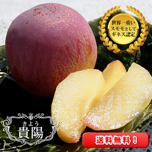 スモモ の王様【 貴陽 ( きよう ) 】高級フルーツ  山梨県産  化粧箱 入り 1.8kg 希少 もも すもも 贈り物 ギフト 新鮮 旬 産地直送 完熟 フルーツ フルーツギフト お取り寄せ 贈答用 果物 くだもの 厳選 ネクタリン プラム