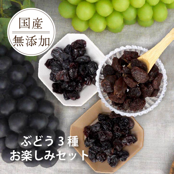 楽天市場】山ぶどう巾着（干しぶどう 干し葡萄 ドライフルーツ 乾燥