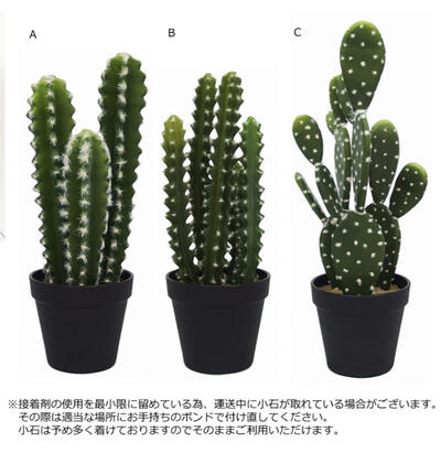 O 新作 ハワイアン サボテン カクタス 南国 ハワイアンインテリア ハワイアン雑貨 ハワイ雑貨 ハワイ Hawaii 人工観葉植物 O Marcsdesign Com