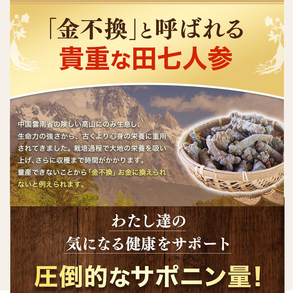 市場 ＼ランキング1位獲得☆3袋5％OFF 有機田七人参 田七 尿酸値 サポニン でんしち 伝七 にんじん 田七人参 無添加 サプリ 血糖値