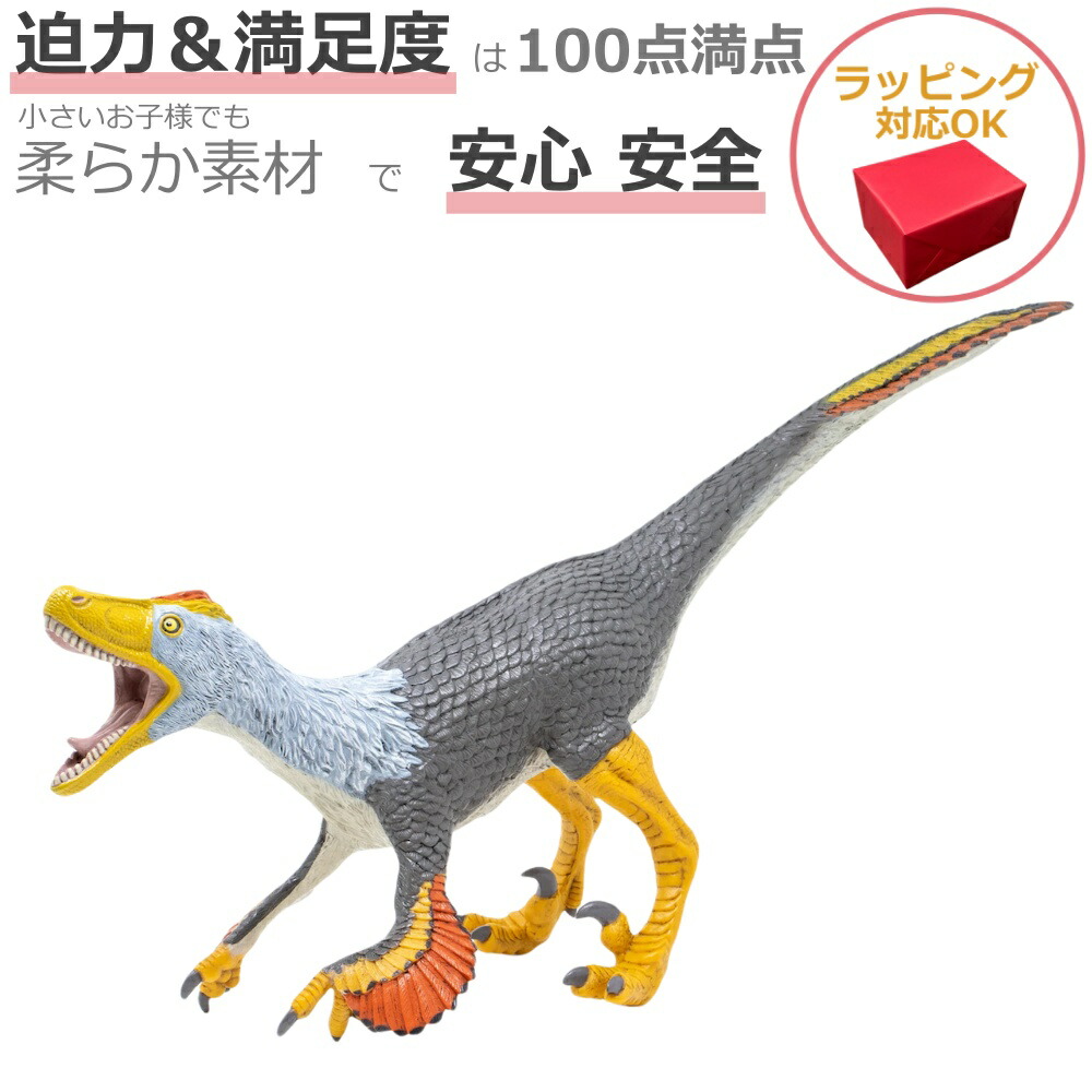 70700-sm-a.jpg
