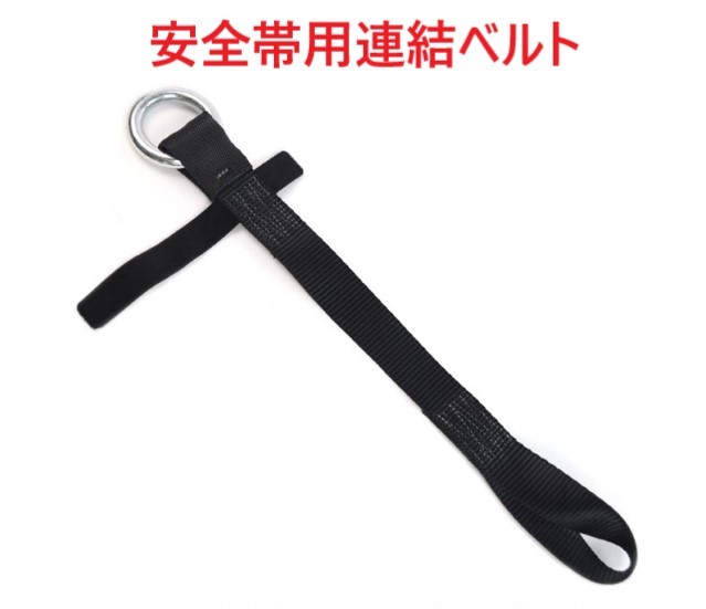 送料無料 カラビナ 25kn D輪 耐斤目245kg 岩石カラビナ Dリング 軽さ ハンモック タープ 宿営役立つこと 洋犬 統率 山登り 高所やり方用 Hotjobsafrica Org