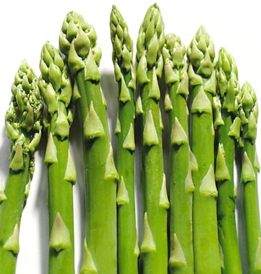 楽天市場 アスパラガス どっとデルチェ 地掘苗 3株 入荷予定 21年11月頃 ｅ フラワー