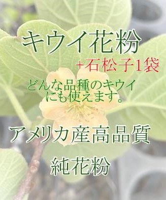 楽天市場】人工授粉用キウイ 花粉 1袋 : e-フラワー