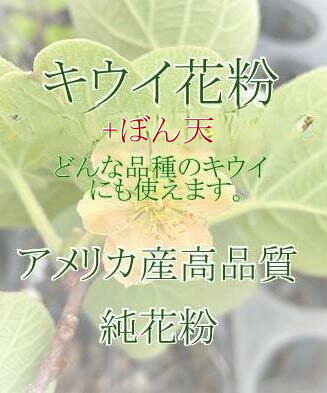 楽天市場】キウイ花粉 0.5g : エスフルール