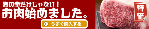 楽天市場】冷凍 ドラゴンフルーツ 赤 ダイスカット 500g レッドピタヤ 果物 デザート スイーツ ヨーグルト : 海産王子