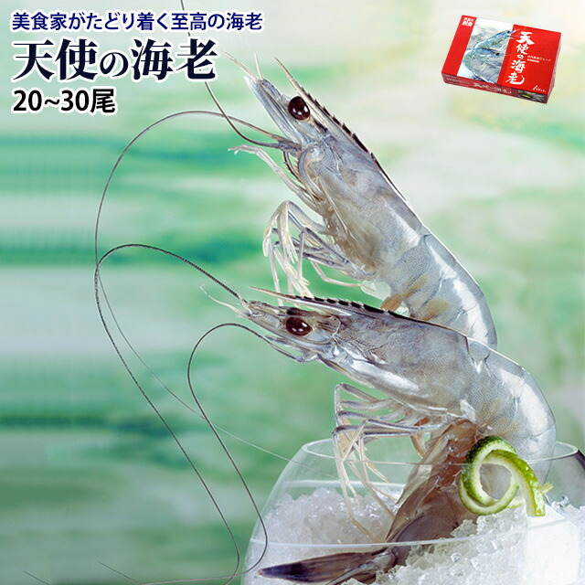 天使の海老 1kg(約20尾～30尾入) お中元 お歳暮 ご贈答 プレゼント 贈り物 高級 えび エビ 安 母の日 父の日 ギフト