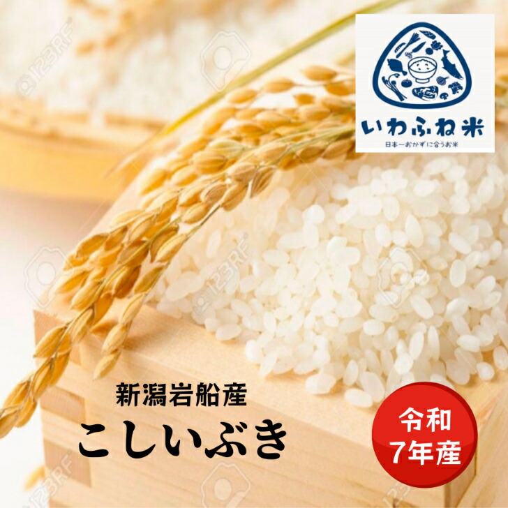 令和7年度 新潟県 岩船産 こしいぶき20kg 令和7年産新米】新潟産こし