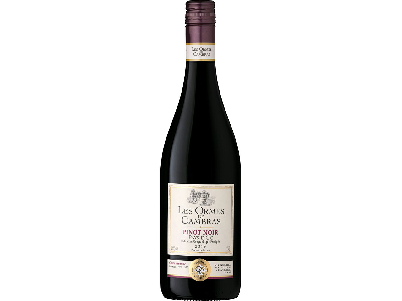 （ケース販売）（送料無料（九州・沖縄除く））　　レゾルム　ド　カンブラス　ピノ・ノワール　７５０ｍｌ　１２　本｜開成屋