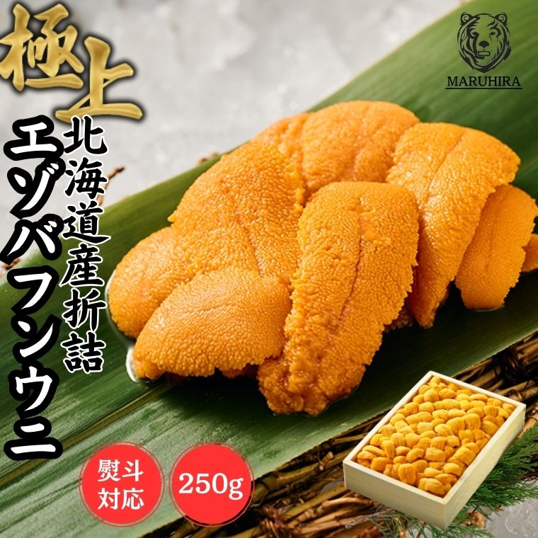 【5/23 20:00-5/27 01:59 店内全品ポイント5倍】【鮮度抜群！国産バフンウニ 網元ならではの高品質と低価格】ウニ 「特選 生うに折詰め」折詰 250g 北海道産エゾバフンウニ  <br> 雲丹 天然 板うに 折うに 極上グレード お買い得 うにの匠マルヒラ渡邊水産<br>