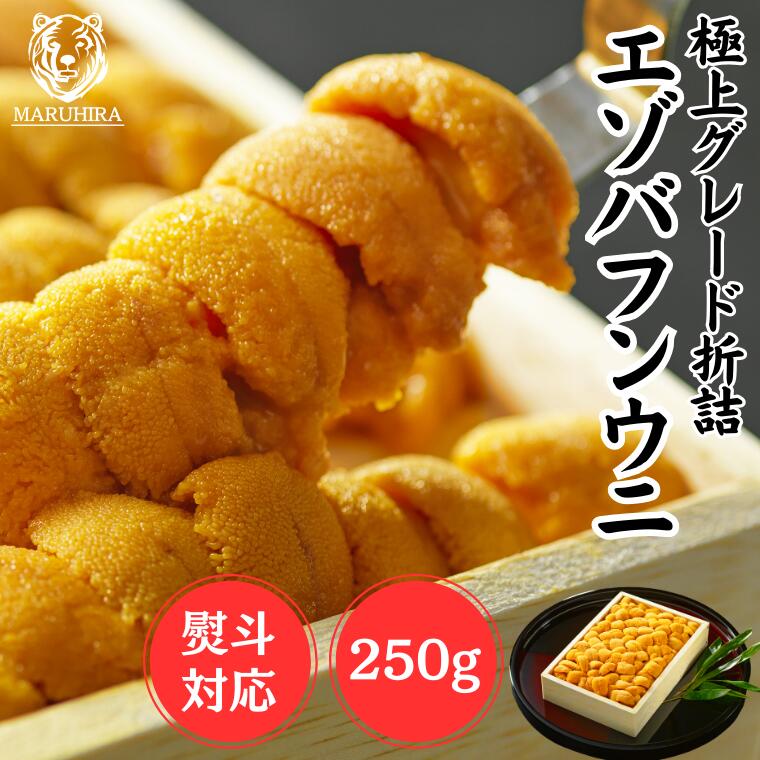 うにページ 旬のウニ – 豊洲おかわり鮮魚店