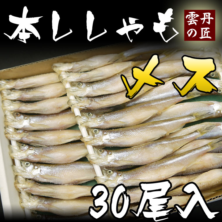 楽天市場 北海道産 極上子持ちししゃもお買い得30尾入り メス本物 ししゃも 北海道 うにの匠 渡邊