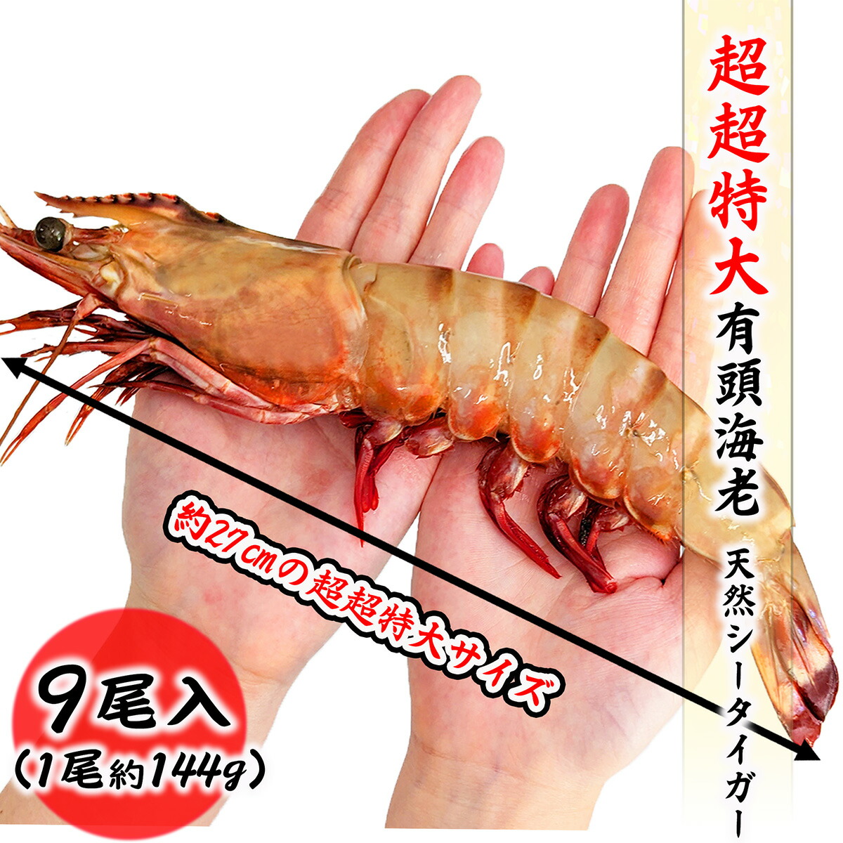 【クーポンで最大15,000円OFF】超超特大サイズ 天然 シータイガー 9尾 約144g/尾 約27cm 1.3kg 有頭海老 エビ 特大 お歳暮 ギフト 冷凍海老 お取り寄せ グルメ 食品 冷凍便 プロ愛用 海老 バーベキュー 天ぷら エビフライ 海老フライ 冷凍エビ 海鮮 贈答 贈答品 贈答用