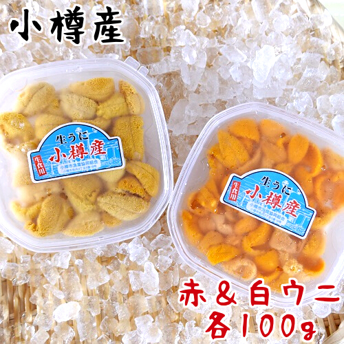 楽天市場 期間限定 塩水うに 小樽産 赤 白 2種セット 送料無料 100g 2個セット 食べ比べ ギフト エゾバフンウニ キタムラサキウニ 赤うに 白うに 合計0g 雲丹 北海道産 国産 うに丼 海鮮丼 生うに ウニ 無添加 ミョウバン不使用 冷蔵便 海鮮小樽