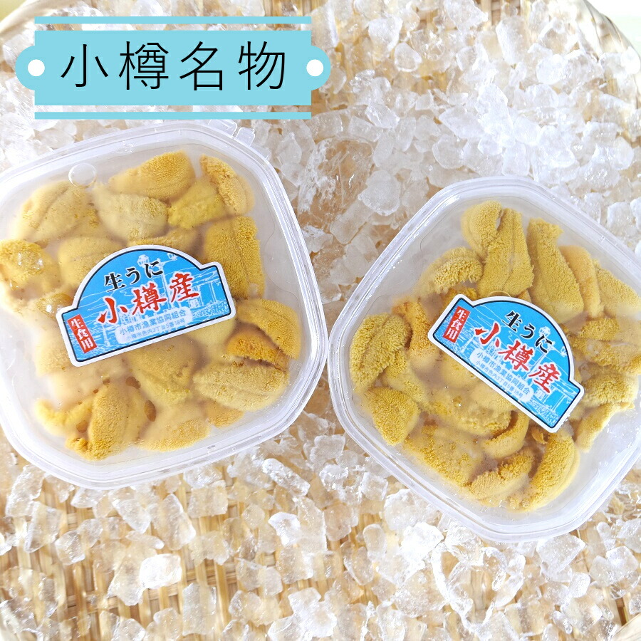 楽天市場 期間限定 塩水うに 小樽産 100g 2個セット 送料無料 ギフト キタムラサキウニ 白うに ウニ 北海道産 国産 生うに 雲丹 うに丼 海鮮丼 無添加 送料込 ミョウバン不使用 冷蔵便 海鮮小樽