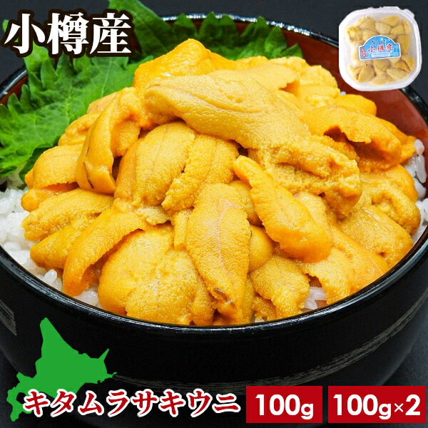 うに 塩水うに 国産 北海道 小樽産 キタムラサキウニ 100g × 1個/2個セット 最高級 送料無料 ギフト 白うに 期間限定 ウニ 生うに 雲丹 うに丼 小樽ブランド 海鮮丼 保存料 無添加 送料無料 ミョウバン不使用 冷蔵便|海鮮小樽