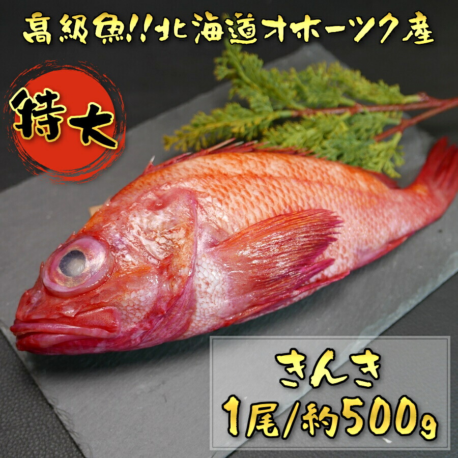 楽天市場 北海道 オホーツク産 特大 きんき 3尾 Or 3枚セット 1尾 500g前後 カット後 350g前後 ギフト 海産物 お取り寄せ 高級魚 めんめ 吉次 きちじ 煮付け 焼き お取り寄せグルメ クール便 送料別 海鮮小樽