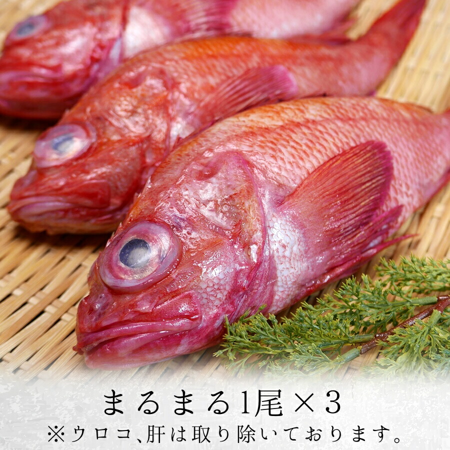 楽天市場 北海道 オホーツク産 特大 きんき 3尾 Or 3枚セット 1尾 500g前後 カット後 350g前後 ギフト 海産物 お取り寄せ 高級魚 めんめ 吉次 きちじ 煮付け 焼き お取り寄せグルメ クール便 送料別 海鮮小樽