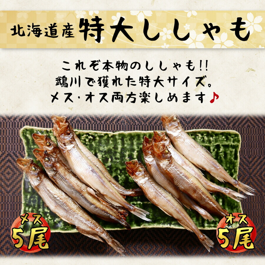 21人気新作 海鮮 詰め合わせ 福袋 9種 11点 中身が見える セット お中元 食品 22 ししゃも いくら たらこ ほっけ 特大 松前漬け 帆立 甘えび ズワイ 蟹 棒肉 刺身 送料無料 ギフト 北海道 海産物 クール便 Staging2 Fiorillicaffe Com
