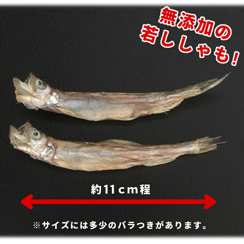 楽天市場 ポイント10倍 北海道産 本乾ししゃも 60g 柳葉魚 広尾産 送料無料 干ししゃも 岡嶋水産 丸ごと 本ししゃも 無添加 珍味 つまみ 酒の肴 家飲み お取り寄せ 国産 おうちグルメ お取り寄せグルメ メール便 海鮮小樽