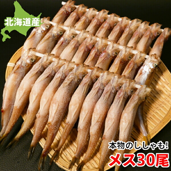 ＼本物のししゃも／ ししゃも 北海道 メス 子持ち 30尾 特大 国産 本ししゃも 柳葉魚 干物 おつまみ 珍味 送料無料 ギフト 冷凍 お取り寄せグルメ クール便