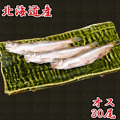＼本物のししゃも／ 北海道産 ししゃも オス 30尾 特大 柳葉魚 本ししゃも 送料無料 ギフト 北海道 海産物 お取り寄せ  お取り寄せグルメ クール便