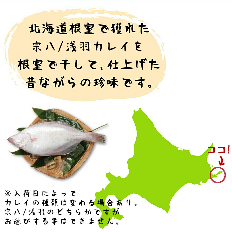 送料無料新品 北海道 根室産 干し ガレイ 40g x 2 合計 80g 鰈 カレイ 魚 少量 珍味 干かれい むしりかれい そのまま食べれる 国産  北海道産 乾燥 送料無料 送料込 酒の肴 おつまみ ポイント消化 お取り寄せグルメ yu メール便 whitesforracialequity.org