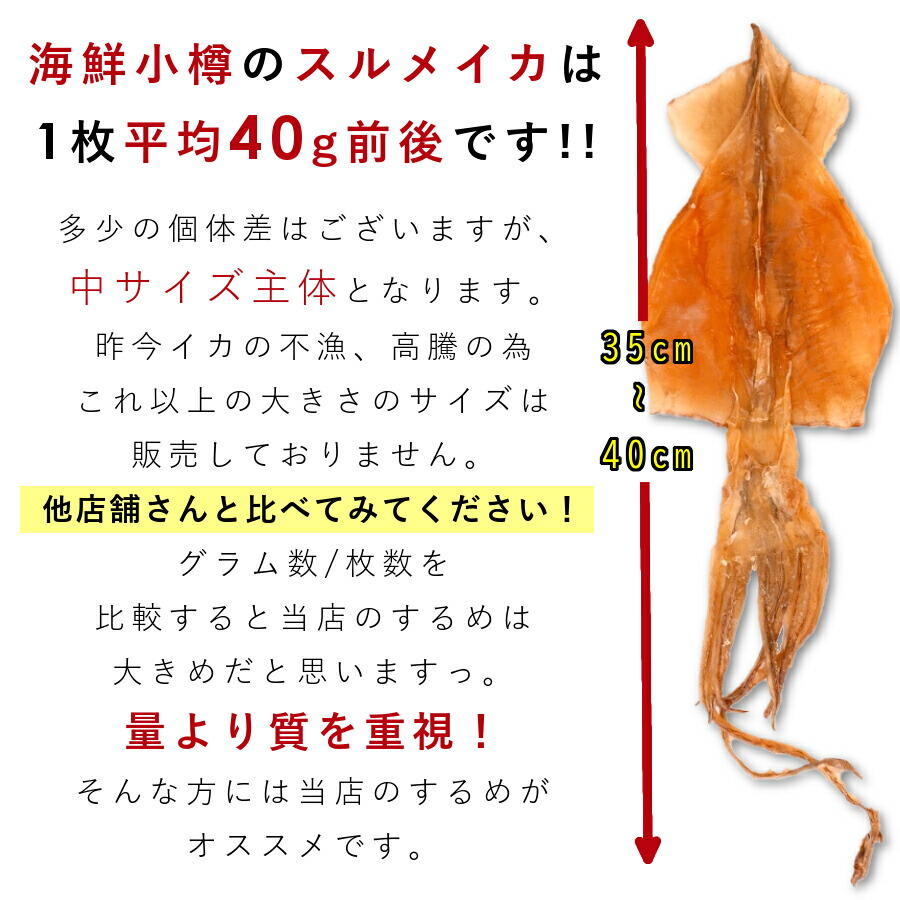 楽天市場 するめ 中サイズ 北海道産 スルメイカ 280g 7 8枚入 ゲソ付き 送料無料 函館産 お徳用 するめいか 下足 いか するめ 乾燥 無添加 家飲み 正月太り 酒の肴 おつまみ 珍味 干物 ダイエット メール便 海鮮小樽