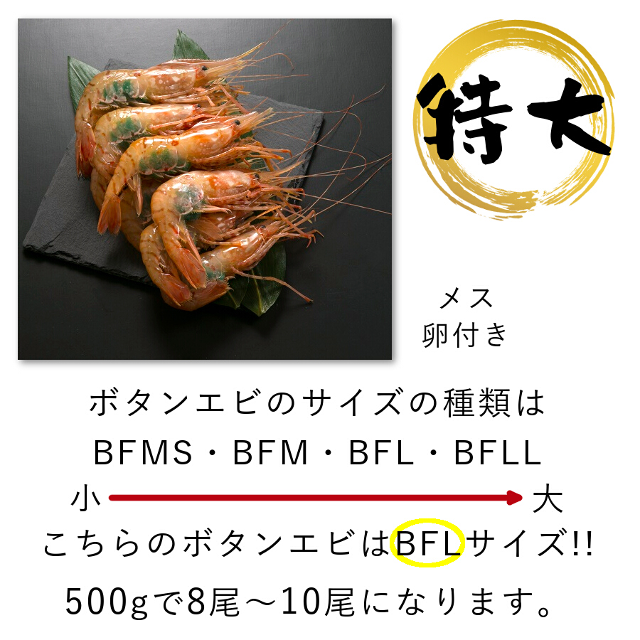 楽天市場 本日ポイント5倍 お歳暮 ギフト ボタンエビ 卵 付き 特大 500g 2セット 1kg お買い得 エびの王様 えび 蝦 海老 刺身 ギフト 北海道 海産物 お取り寄せ 無添加 お取り寄せグルメ クール便 送料別 海鮮小樽