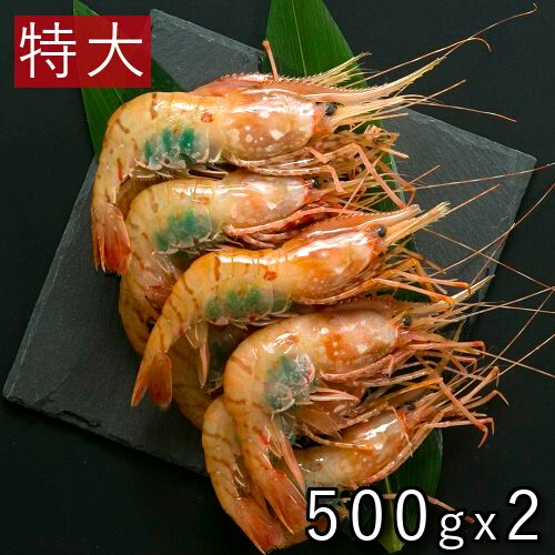 楽天市場 父の日 ギフト ボタンエビ 卵 付き 特大 500g 2セット 1kg お買い得 エびの王様 えび 蝦 海老 刺身 ギフト 北海道 海産物 お取り寄せ 無添加 お取り寄せグルメ クール便 送料別 海鮮小樽