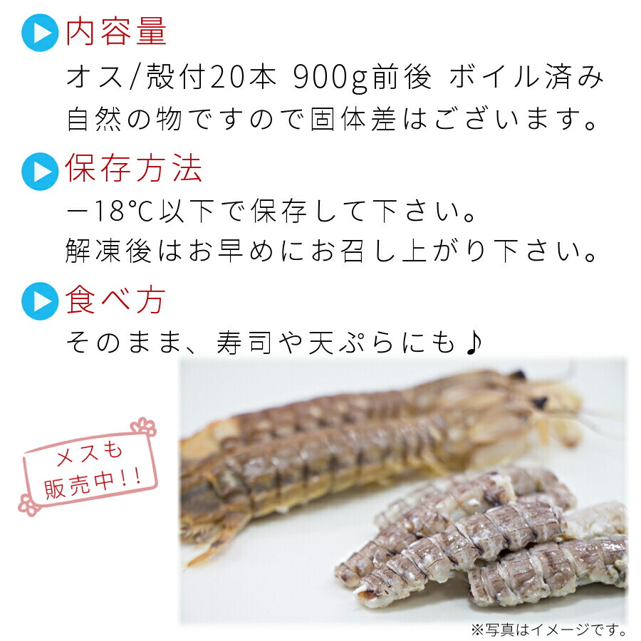 楽天市場 新物 小樽産 シャコ オス 春シャコ 殻付本 ボイル 蝦蛄 シャコエビ 北海道 海産物 お取り寄せ 小樽名物 国産 北海道産 お酒 無添加 お取り寄せグルメ 送料別 クール便 海鮮小樽