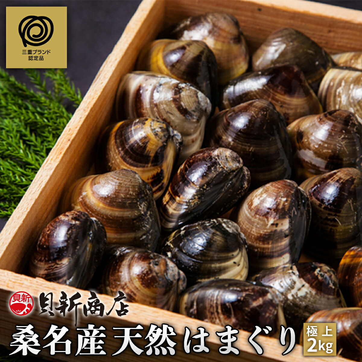桑名産天然はまぐり ２kg 【国産ハマグリ】砂出し済 産地直送 蛤 はまぐり大 貝新商店