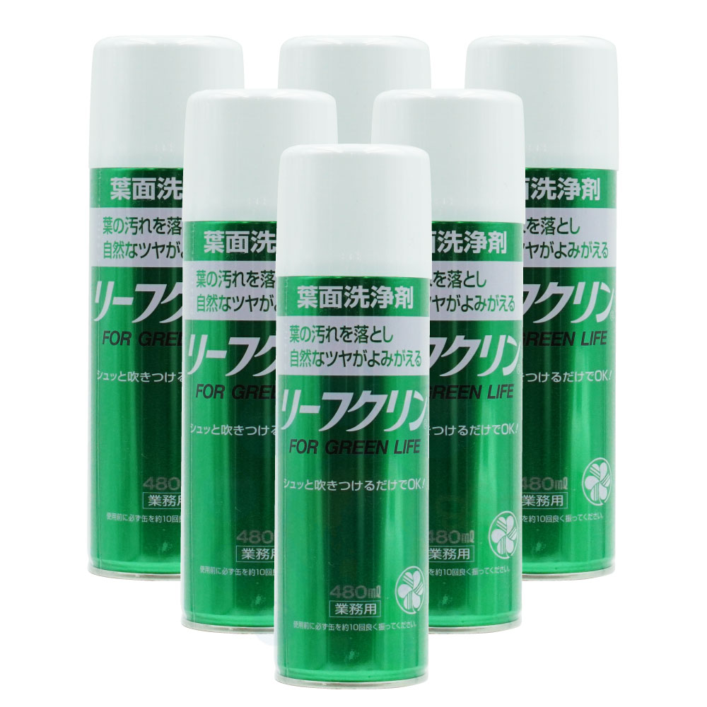 葉面洗浄剤 リーフクリン 業務用 480ml×6本 葉 観葉植物 汚れ落とし 自然 ツヤ 洗浄 KINCHO園芸