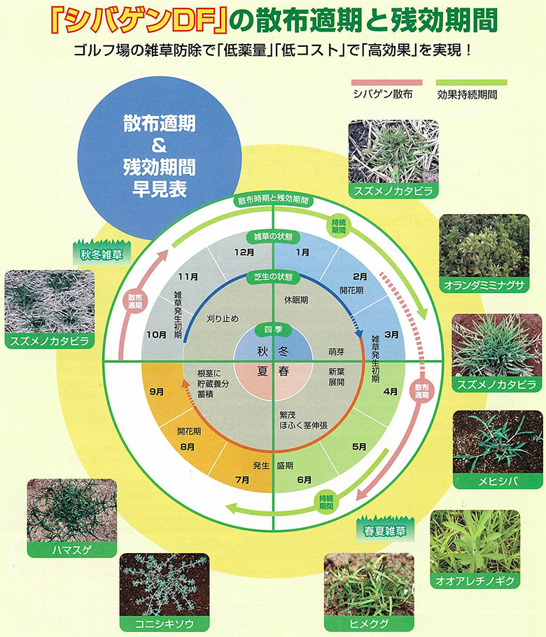芝生用除草剤 シバゲンDF 20g入 ＋ 蓄圧式噴霧器 4L セット ドライ ...
