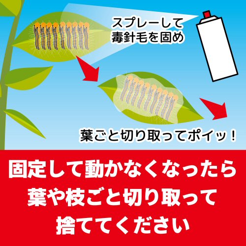 楽天市場 チャドクガ 駆除 防除剤 チャドクガ毒針毛固着剤 180ml 3本 毛虫 退治 飛散防止 北海道 沖縄 離島配送不可 快適クラブ 楽天市場店